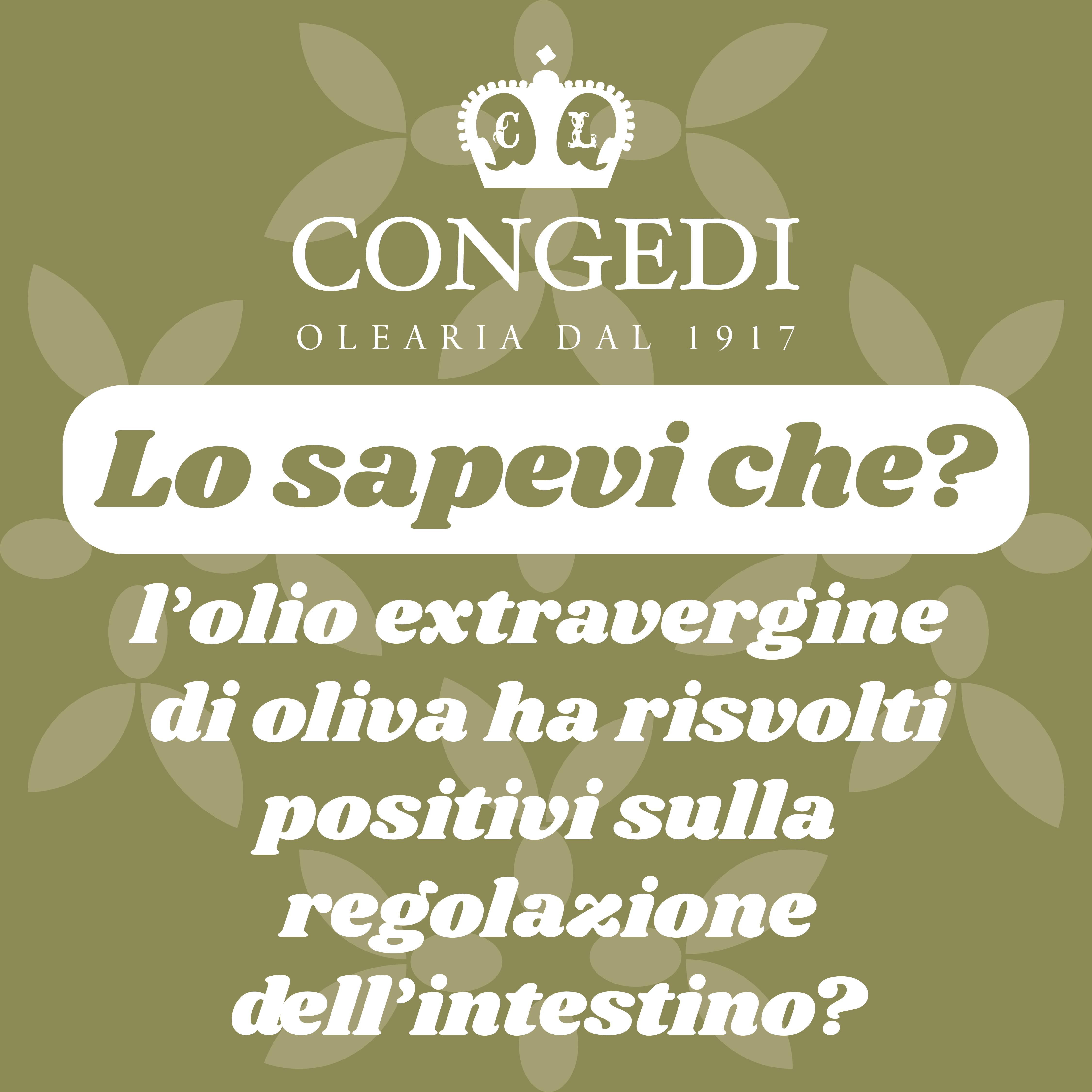 Lo sapevi che l’olio extravergine d’oliva ha risvolti positivi sulla regolazione dell'intestino?